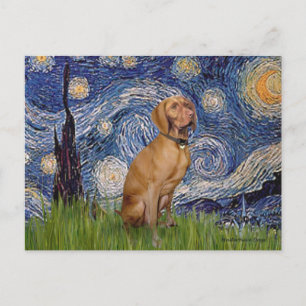 Sternennacht - -Vizsla 2 Postkarte