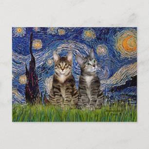 Sternennacht - Zwei getigerte Hauskatzen Postkarte