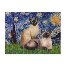 Sternennacht - Zwei siamesische Katzen (Choc Pt)