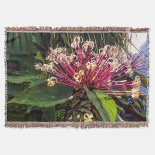 Sternexplosion Clerodendrum Blume Kehle Blanket Decke