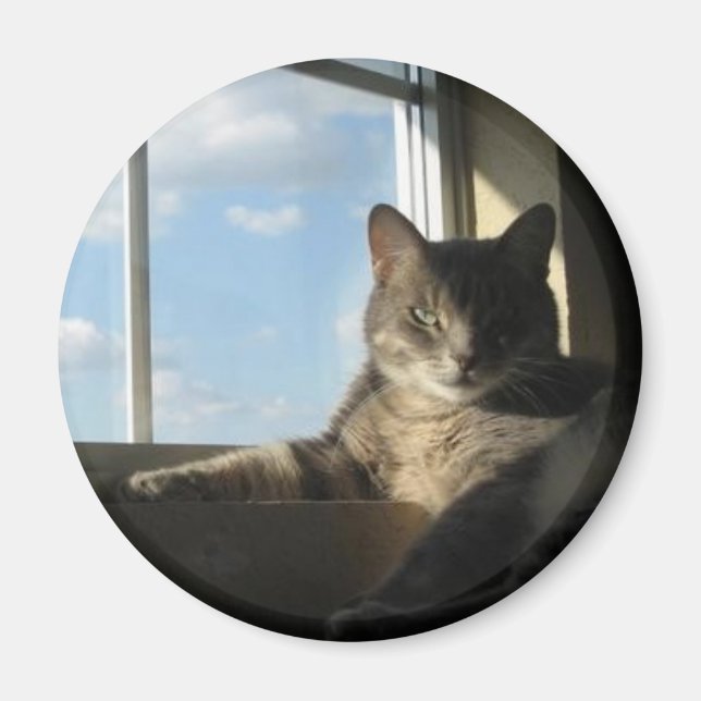 Sternfenster-Magnet Magnet (Vorne)