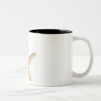 Sternfische Zweifarbige Tasse