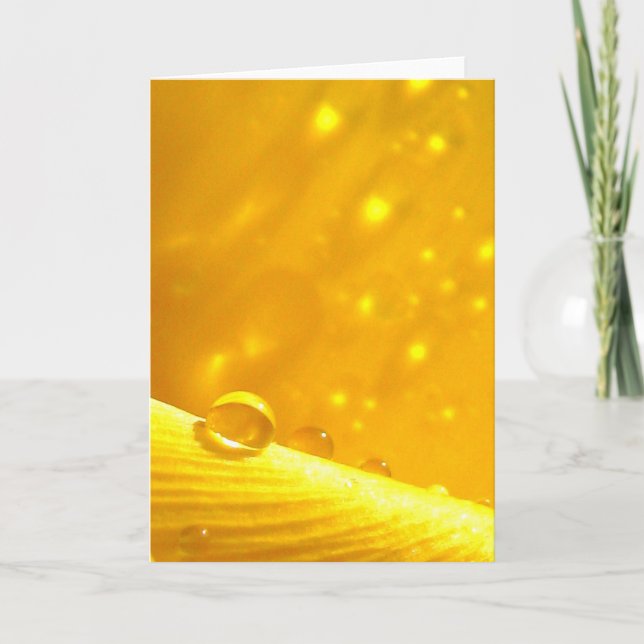 Sterngvolle Taubentropfen, Geschichten in Naturged Karte (Vorderseite)