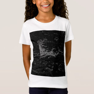 Sternkonstellation Hevelius um 1690 T-Shirt
