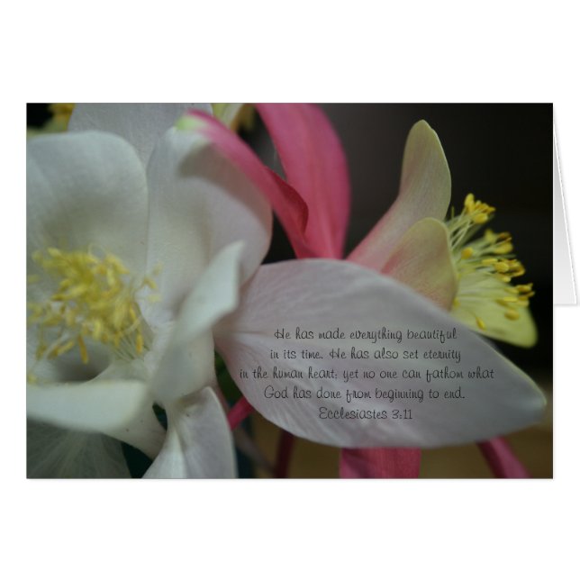 Sternschnuppe - Coumbine Blüte Ecclesiastes 3:11 (Vorderseite (Horizontal))