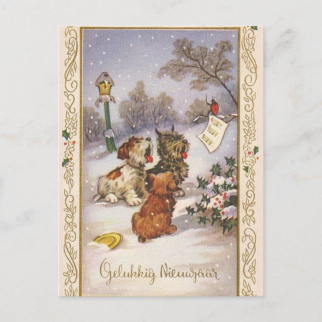 Sternsinger-Welpen Postkarte (Vorderseite)