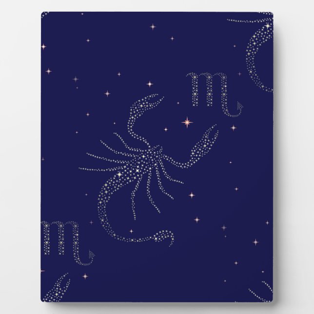 Sternskorpio Fotoplatte (Vorderseite)