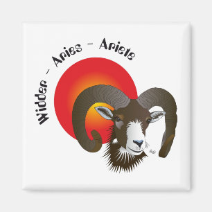 Sternzeichen des Breitengrades Magnet