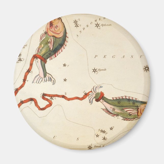 "Sternzeichen: Fische" Magnete (Vorne)