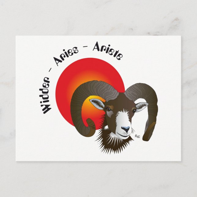 Sternzeichen für Breite Postkarte (Vorderseite)