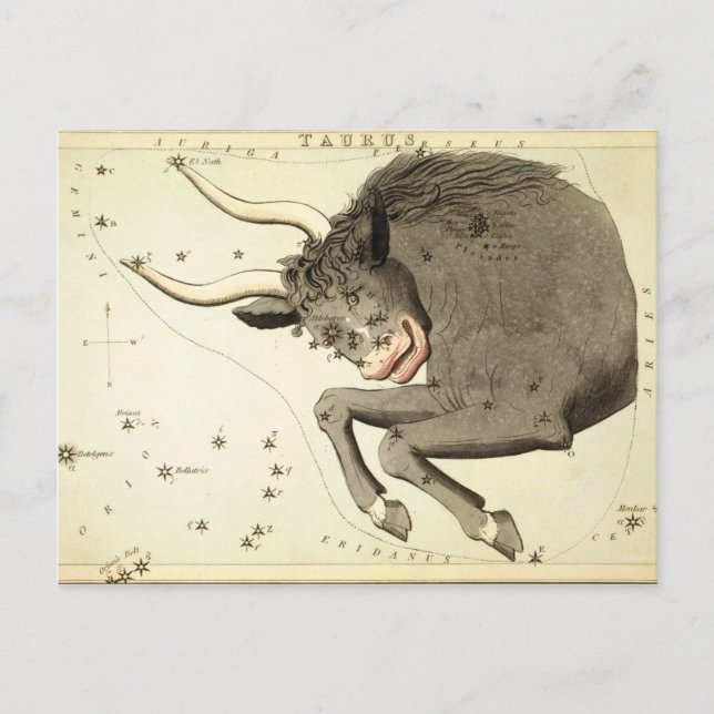 Sternzeichen: Stier Postkarten (Vorderseite)
