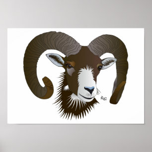 Sternzeichen - Widmungsplakat Poster