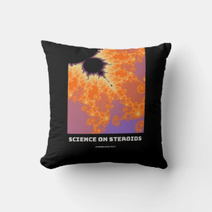 Steroidforschung Mandelbrot-Fraktal - Naturwissens Kissen