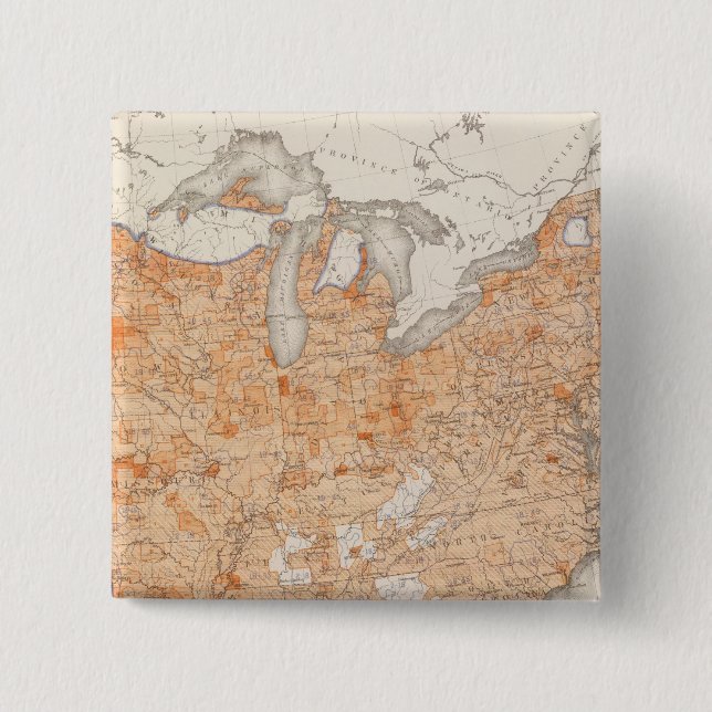 Steuern pro Kopf, Statistischer US-Lithograph Button (Vorderseite)