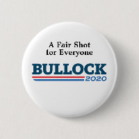 Steve Bullock 2020