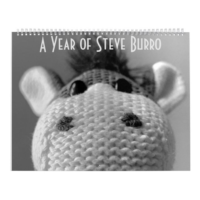 Steve-Burro-Kalender Kalender (Titelbild)
