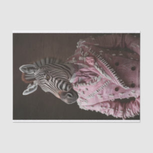 Steve the Zebra Seidenpapier