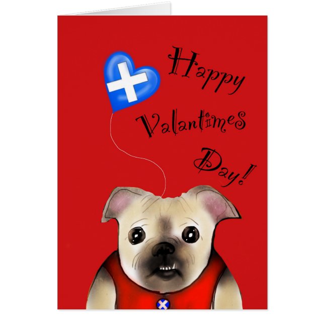 Steve valantimes cerd (Vorne)