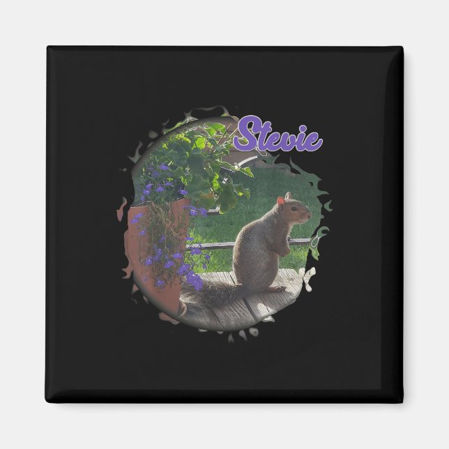 Stevie das Eichhörnchen Magnet (Vorne)