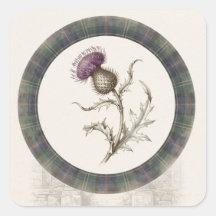 Stewart Hunting Tartan Distel Quadratischer Aufkle