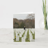 Sticht am Arlington-Staatsangehörig-Friedhof an