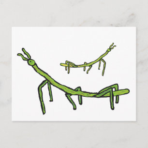 Stick Bug Insekt Postkarte
