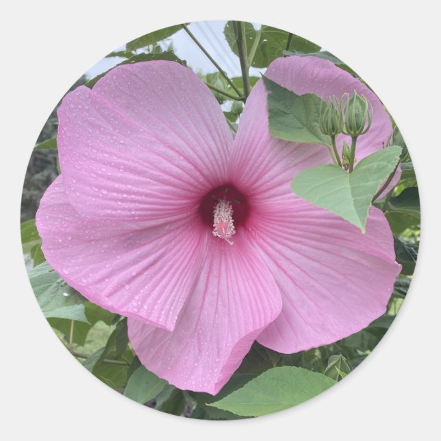 STICKEN SIE ES - POWER DES PINKS RUNDER AUFKLEBER (Vorderseite)