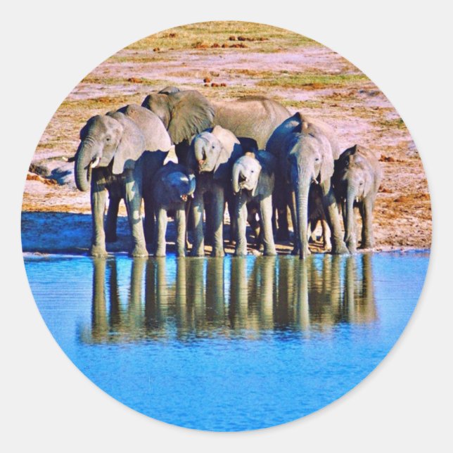 Sticker (Vorderseite)