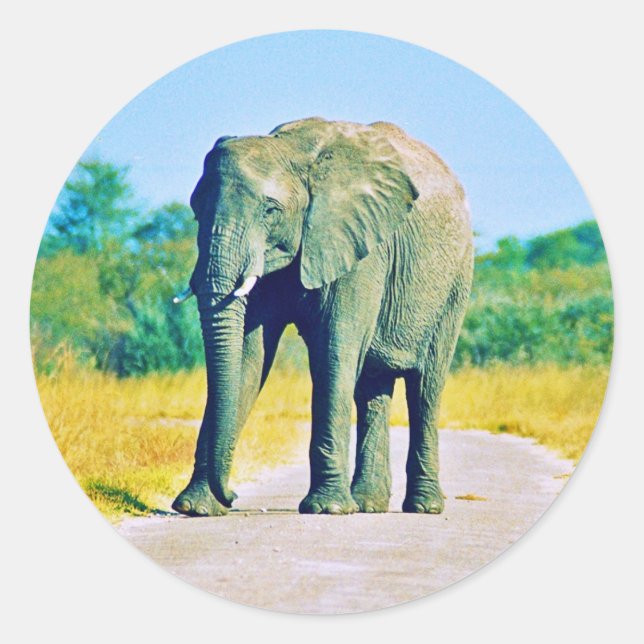 Sticker (Vorderseite)