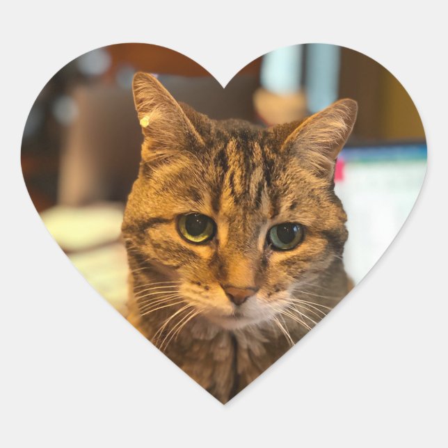 Sticker (Vorderseite)