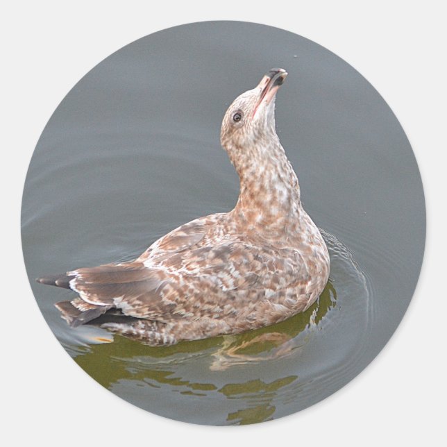 Sticker (Vorderseite)