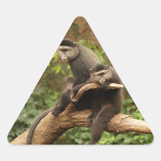 Sticker (Vorderseite)