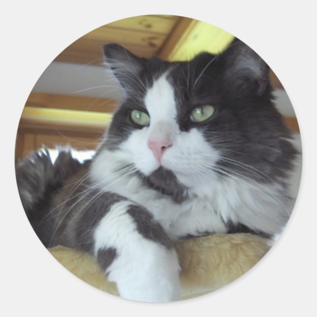 Sticker (Vorderseite)