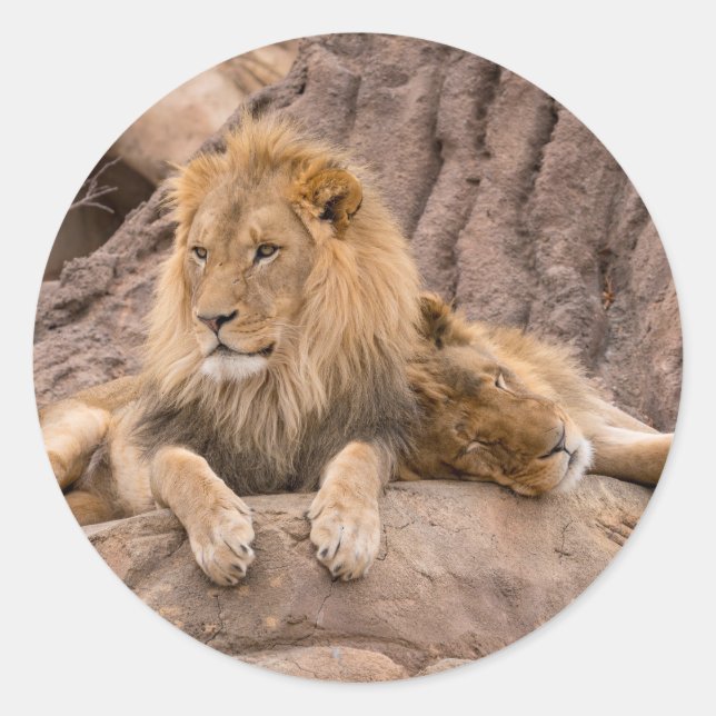 Sticker (Vorderseite)