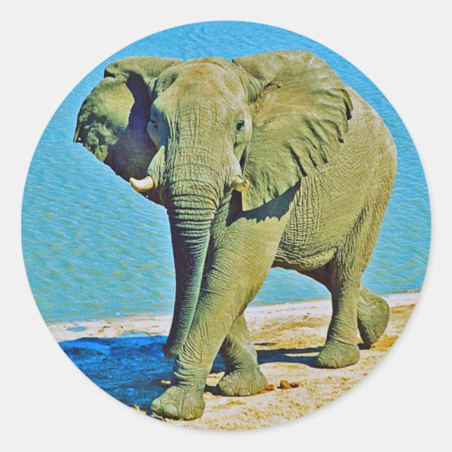 Sticker (Vorderseite)