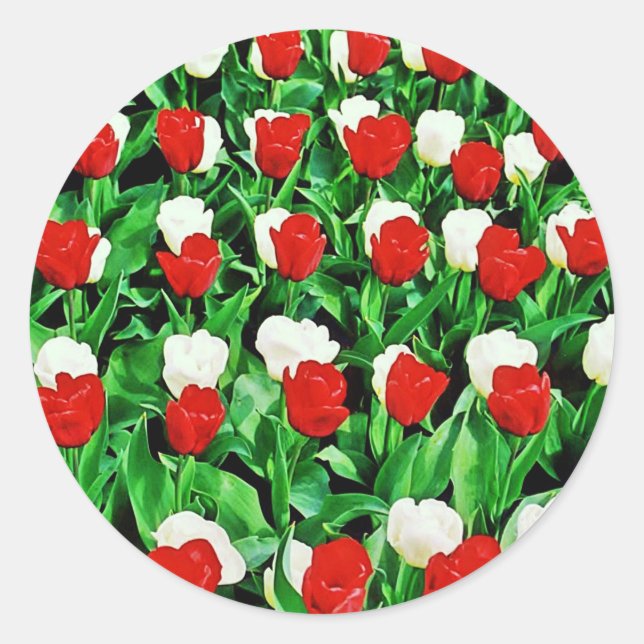 Sticker (Vorderseite)