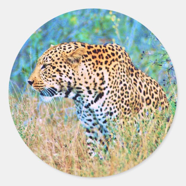 Sticker (Vorderseite)