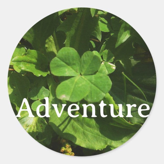 Sticker Adventure (Vorderseite)