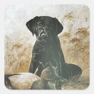 STICKER Black Lab Labradors Retrievers Upland Hund