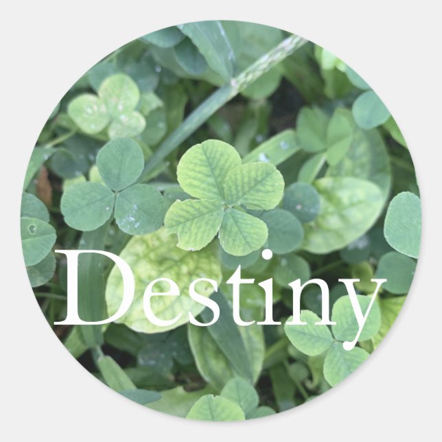Sticker Destiny (Vorderseite)