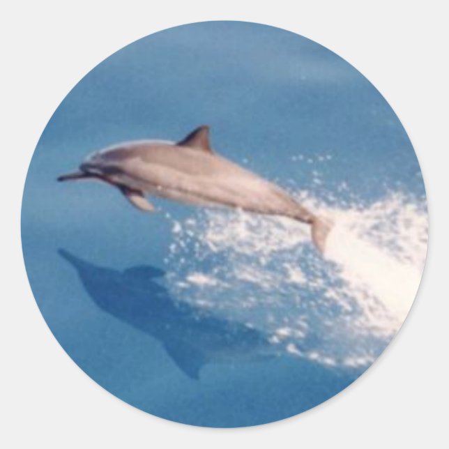 Sticker-Dolphin-Jumping Runder Aufkleber (Vorderseite)