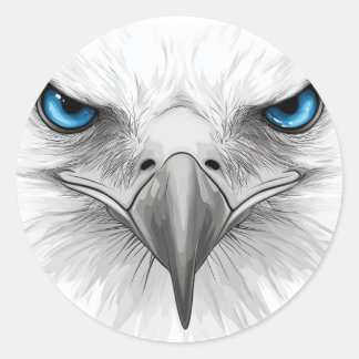Sticker. Eyes and beak. A stern and serious look. Runder Aufkleber