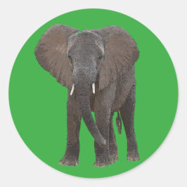 Sticker für afrikanische Elefanten