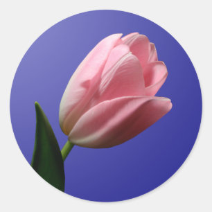 Sticker für den Umschlag Aufkleber Spring Tulip