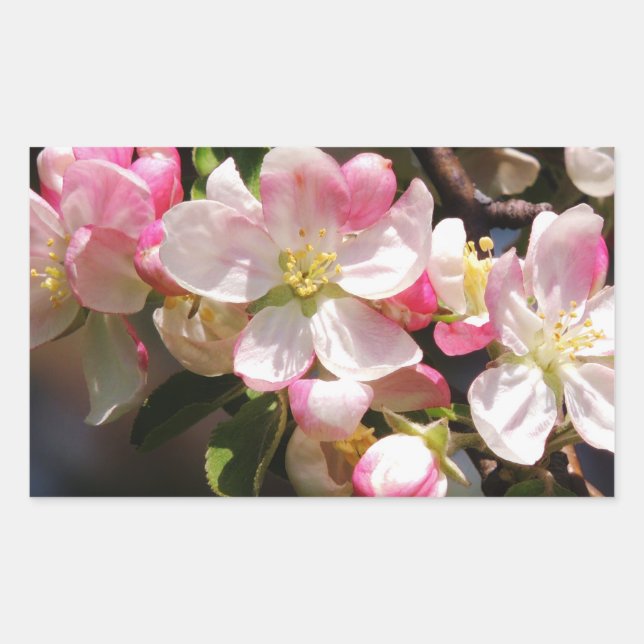 Sticker für die Blume (Vorderseite)