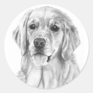 Sticker für die Golden Retriever Sketch