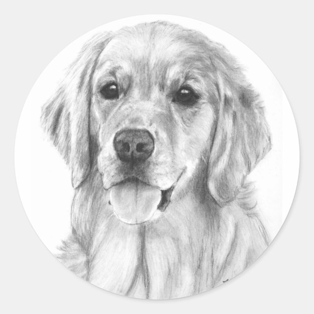 Sticker für die Golden Retriever Sketch (Vorderseite)