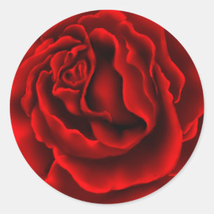 Sticker für Elegante Rote Rose