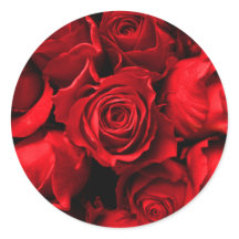 Sticker für Elegante Rote Rose