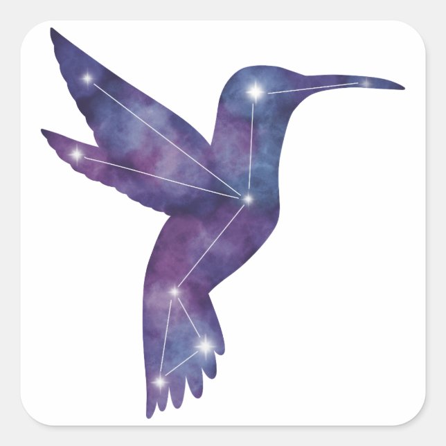 Sticker für Hummingbird Constellation (Vorderseite)